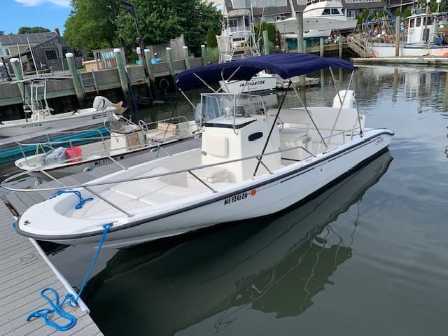White powerboat moored at marina dock, ready for day trips