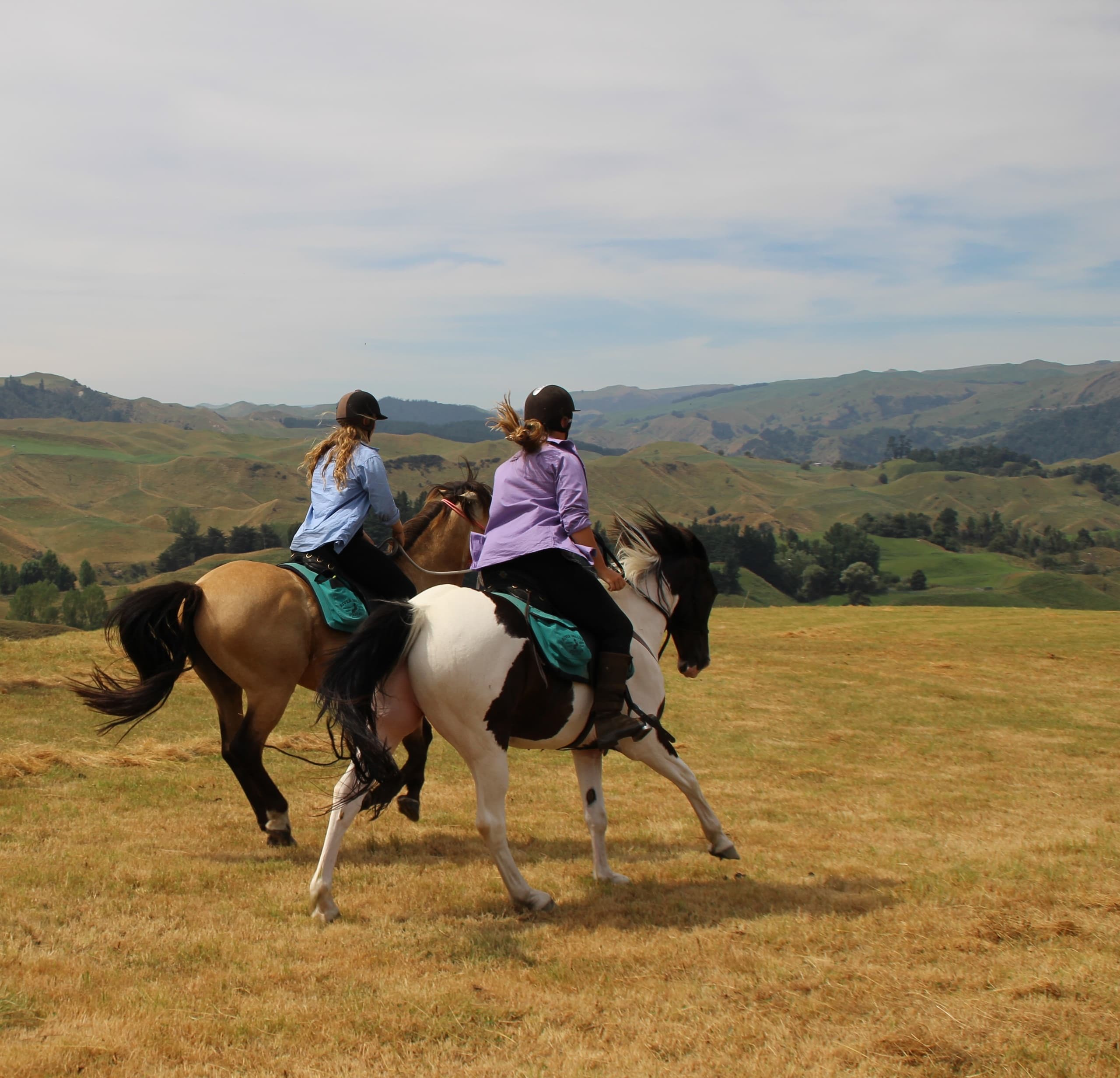 Half-Day Horse Trek for Experts with River Valley Ventures