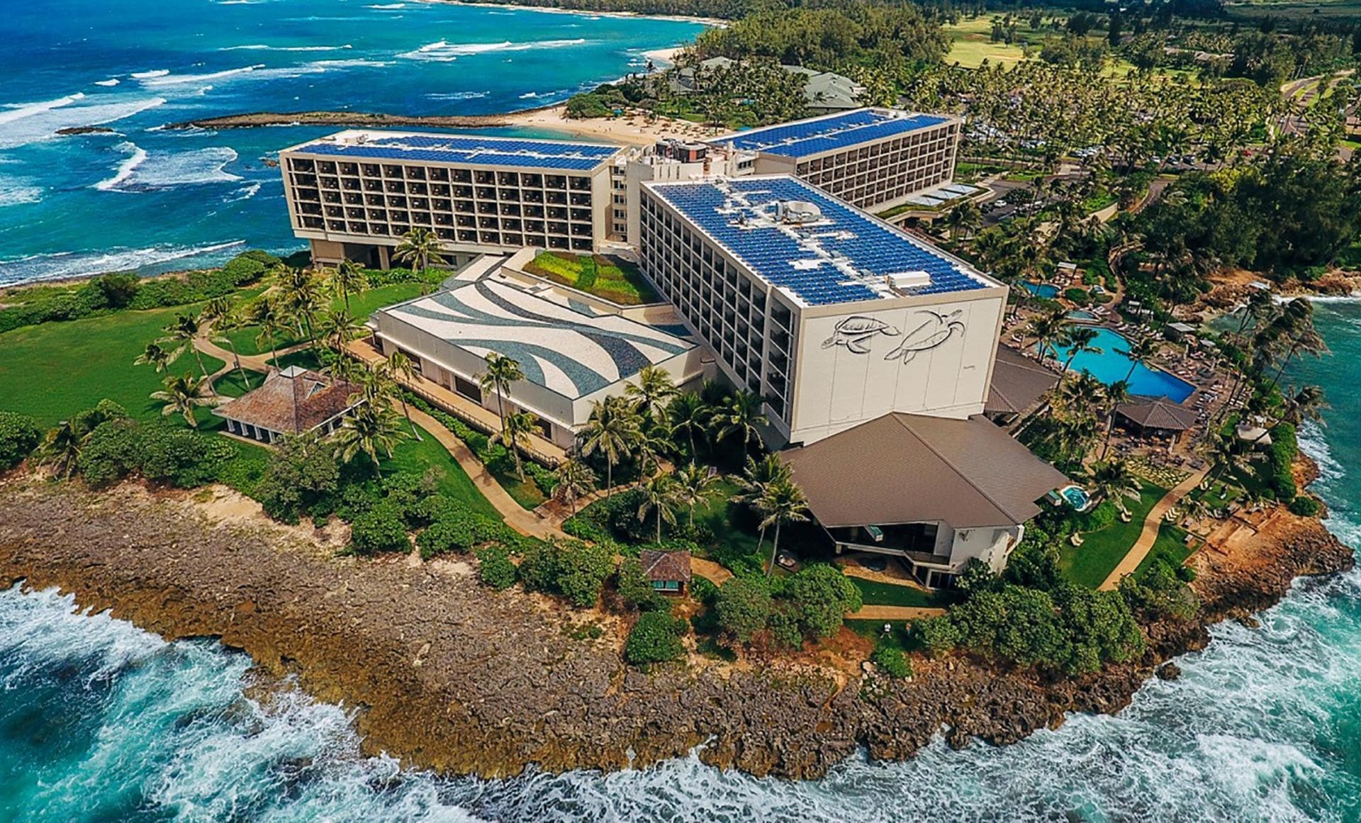 Luxury Van Transfer from Honolulu Airport to North Shore