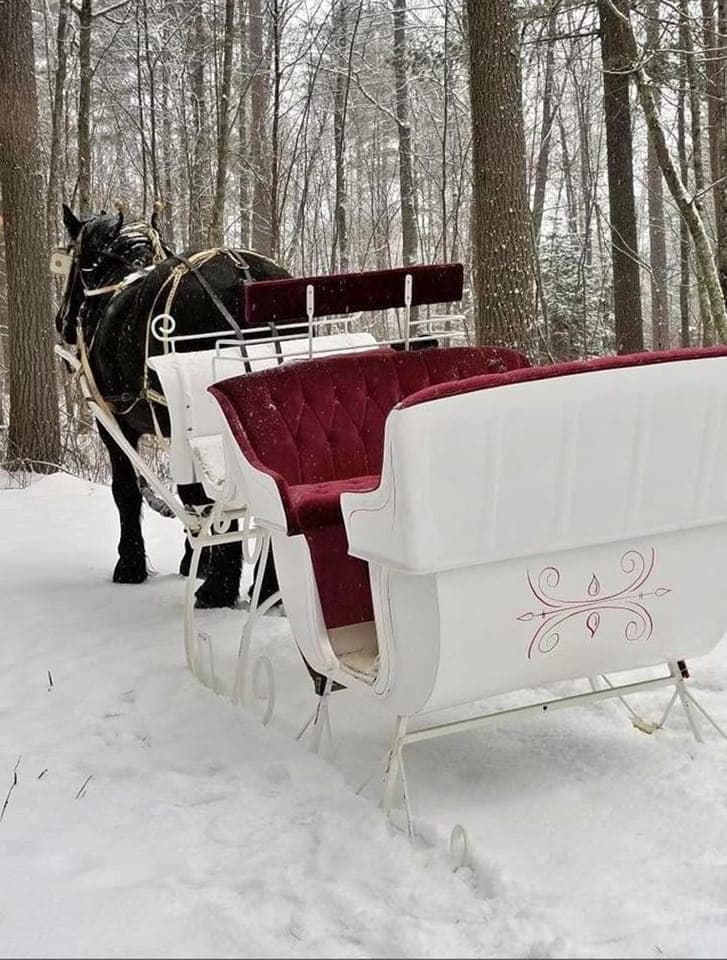 Magical Winter Sleigh Rides in Duluth, Minnesota