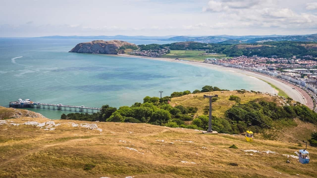Llandudno: Great Orme Hikes and Coastal Wildlife Guide