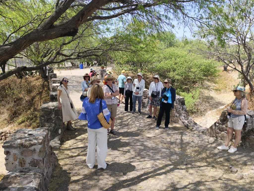 Guided hiking group walking a desert trail with mesquite trees