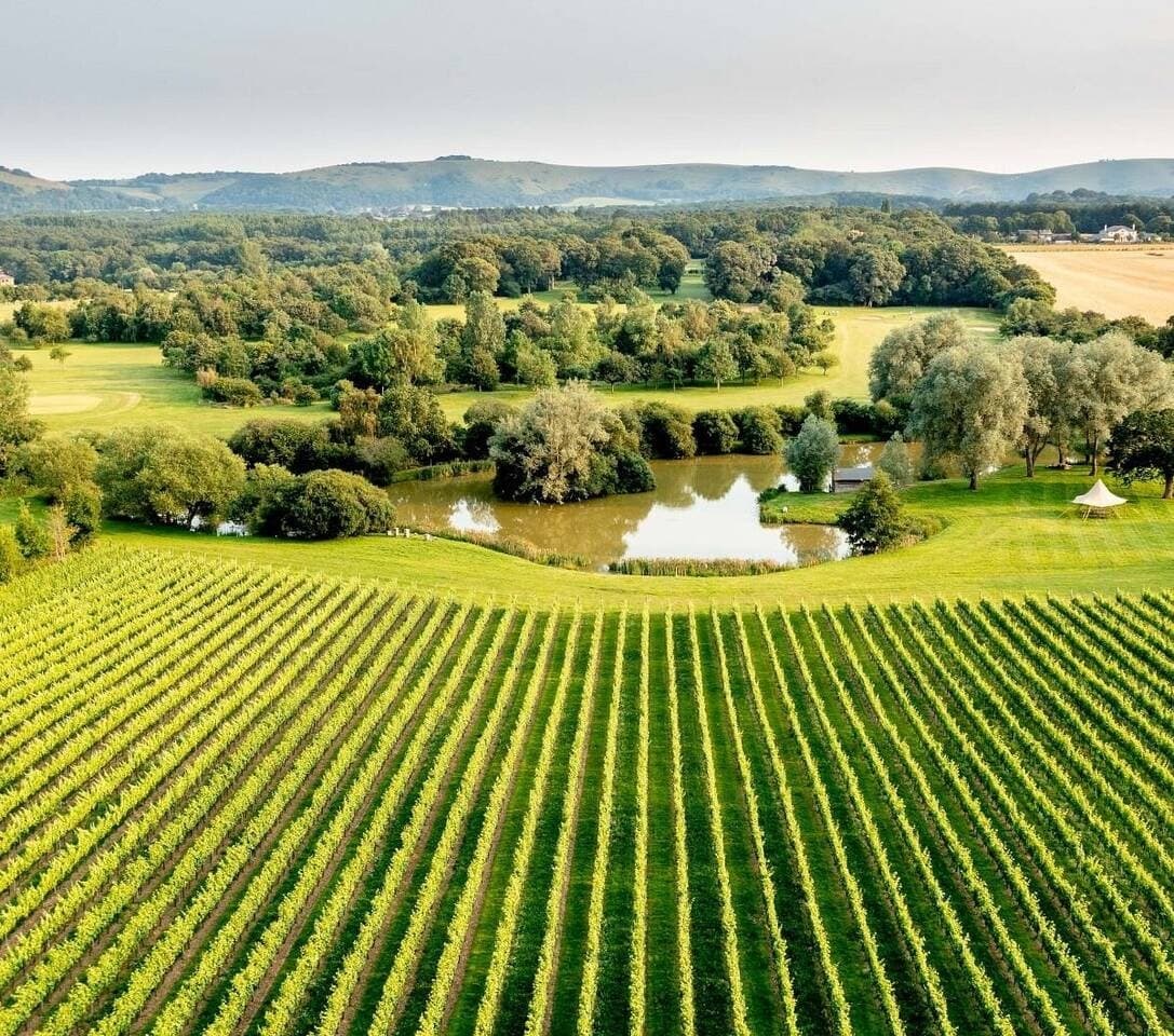 Bike & Wine Adventure in South Downs with Albourne Winery