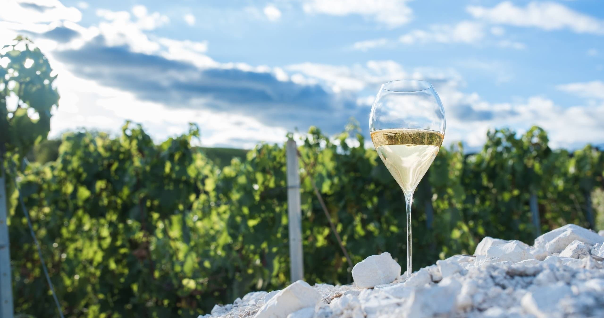 Wine & Spirit Tours with Champagne Vintage Experience
