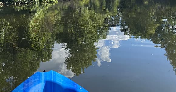 Suamico Paddle fleet