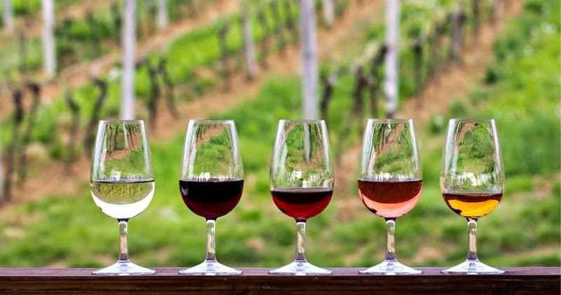 Half-Day Hill Country Wine Shuttle in Austin, TX