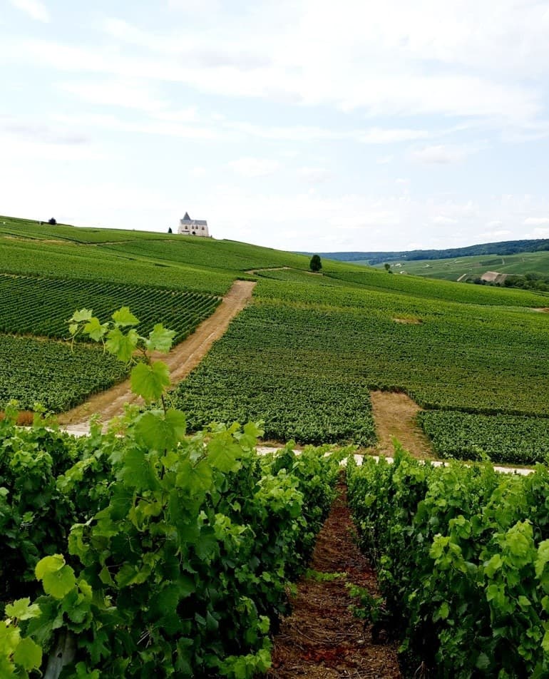 Champagne: La Ruta Dorada de Francia — Private Boutique Champagne Day Trip from Paris photo 1