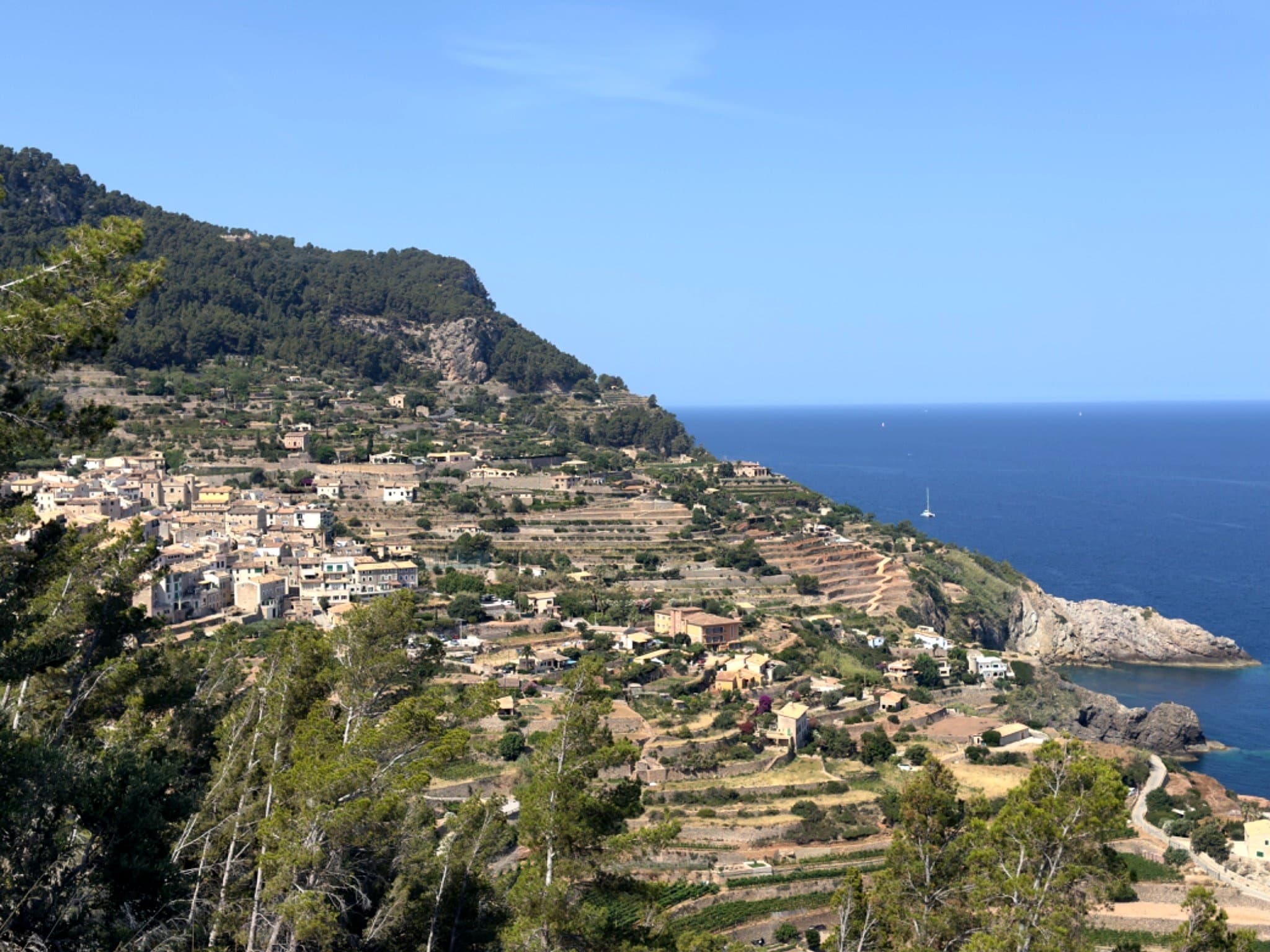 Tasting Mallorca fleet