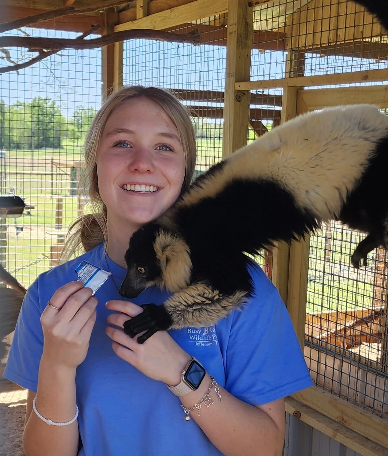 Young visitor with black-and-white ruffed lemur inside shaded pen