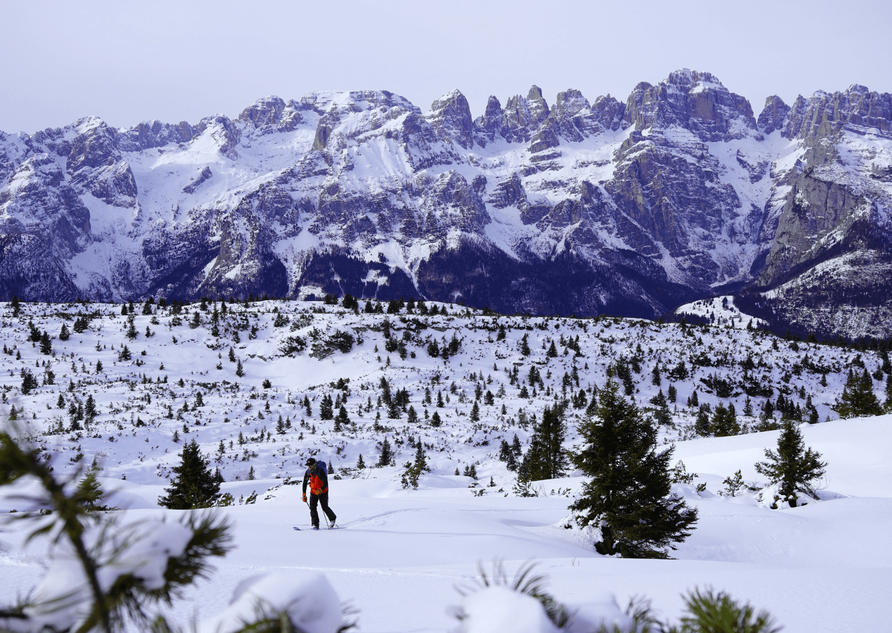 Ciaspolata in Quota: Snowshoe Hike on Paganella, Andalo — Dolomiti di Brenta Views