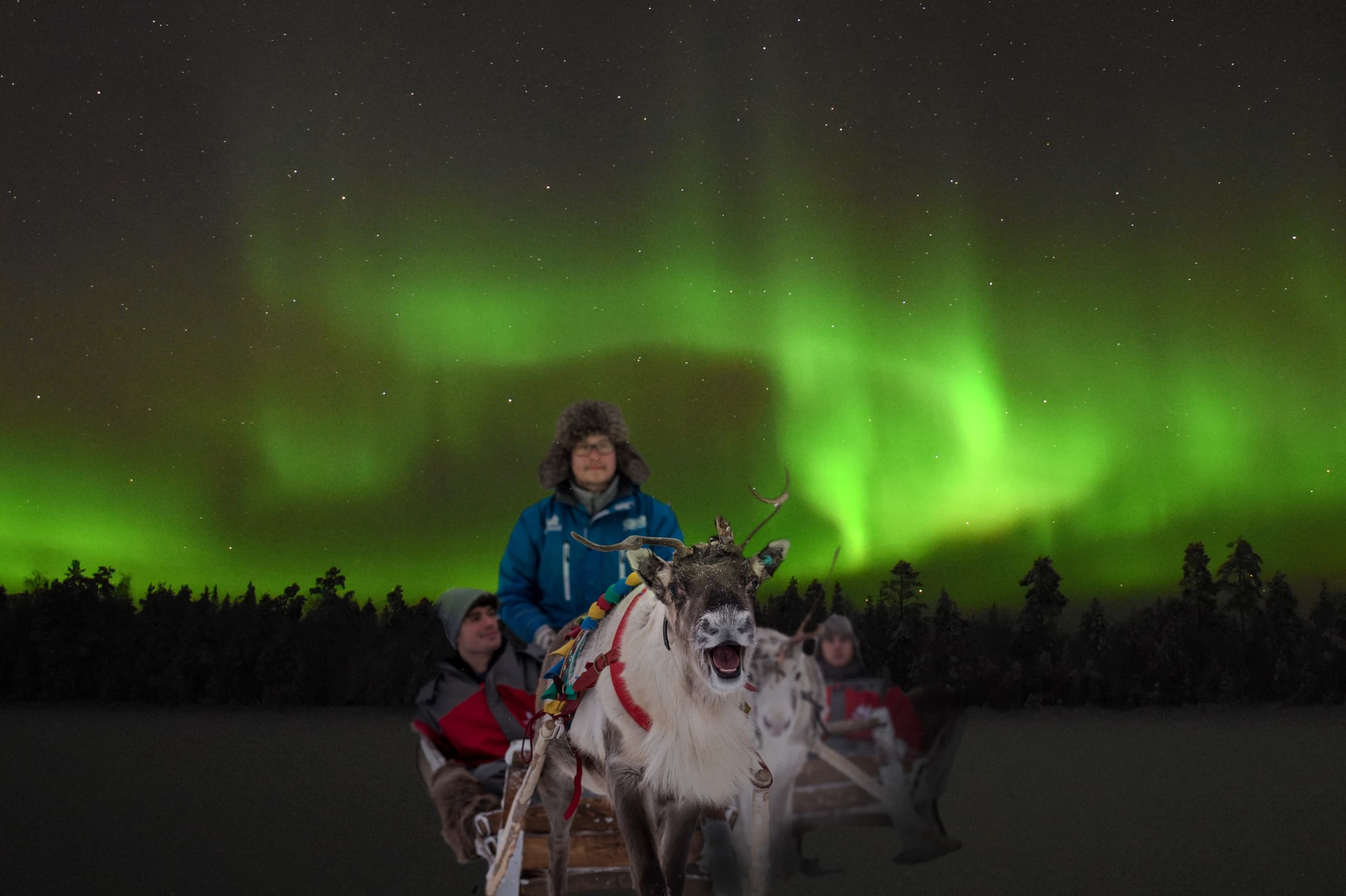Winter Wildlife & Reindeer Rides at Santa Claus Holiday Village