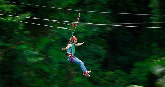 Zipline rider soaring over dense forest for adrenaline tours