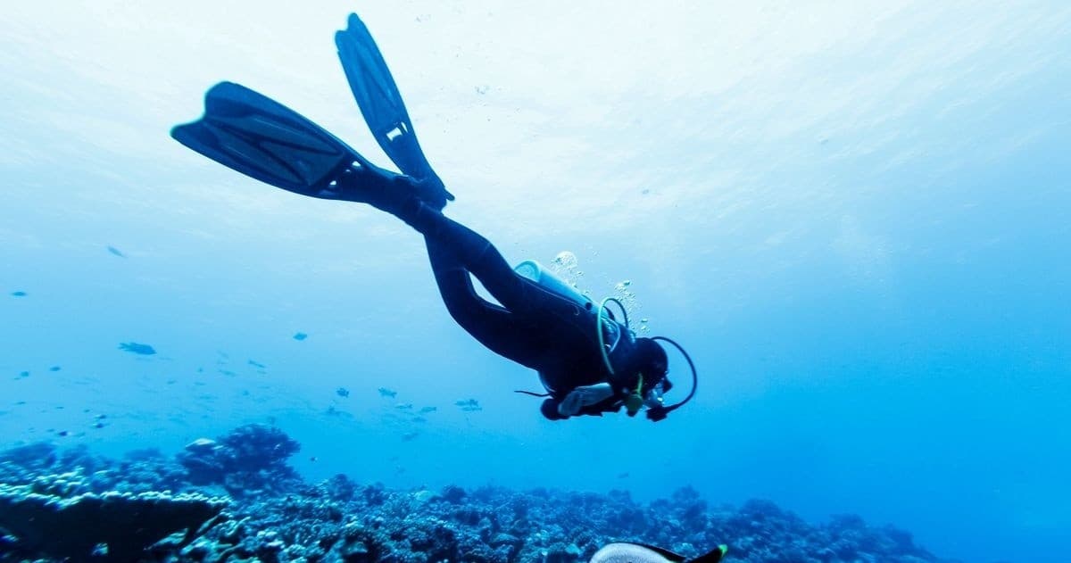 Master Your Buoyancy: Catalina Trim Workshop in Avalon