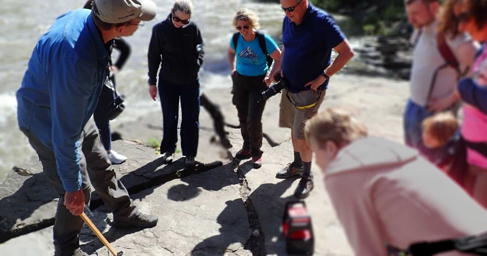 Dinosaur Trackway Tours in Tumbler Ridge