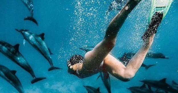 Snorkeler swimming among dolphins in tropical ocean reef