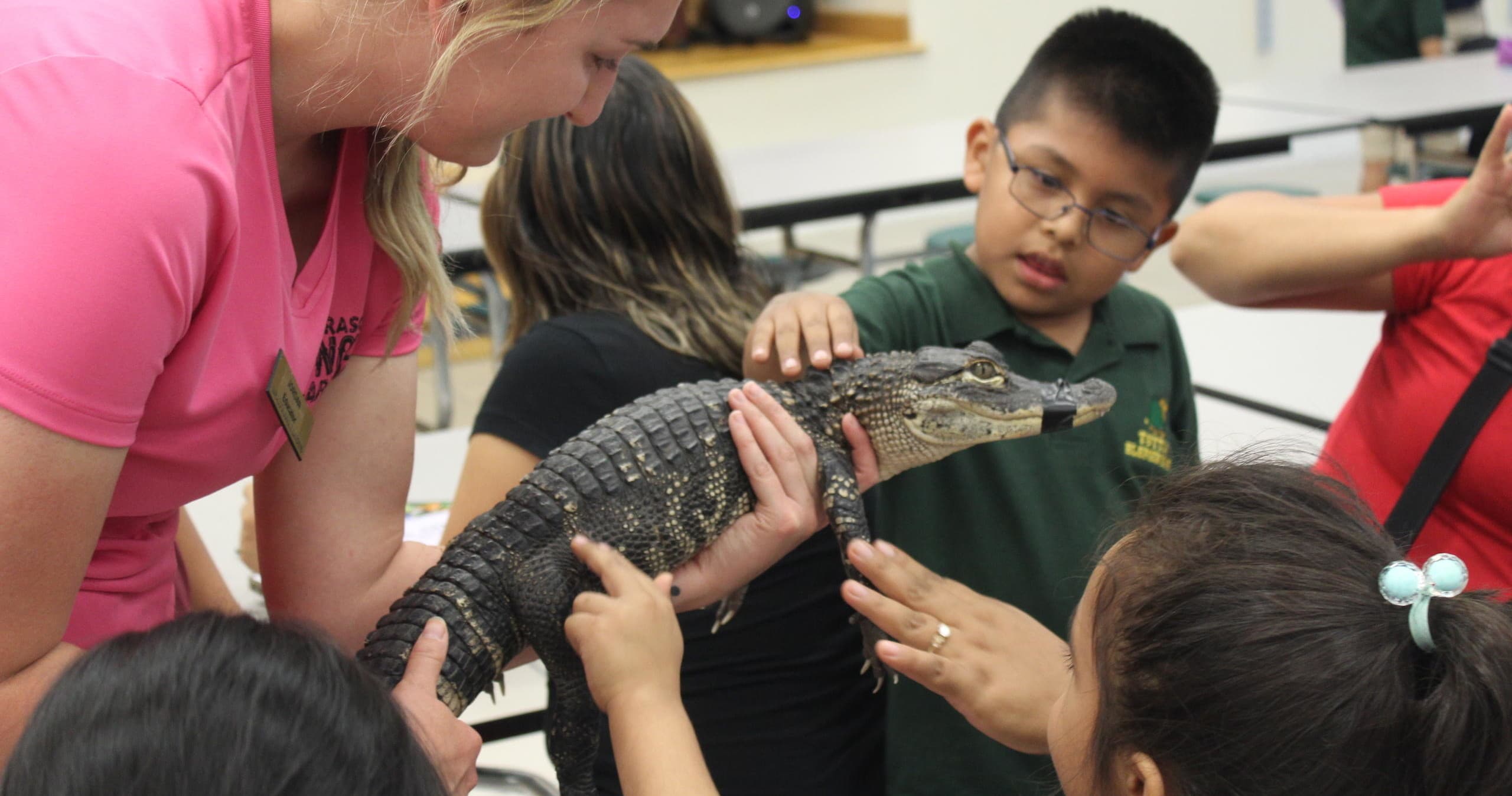 Wildlife & Nature Tour at Sarasota Jungle Gardens