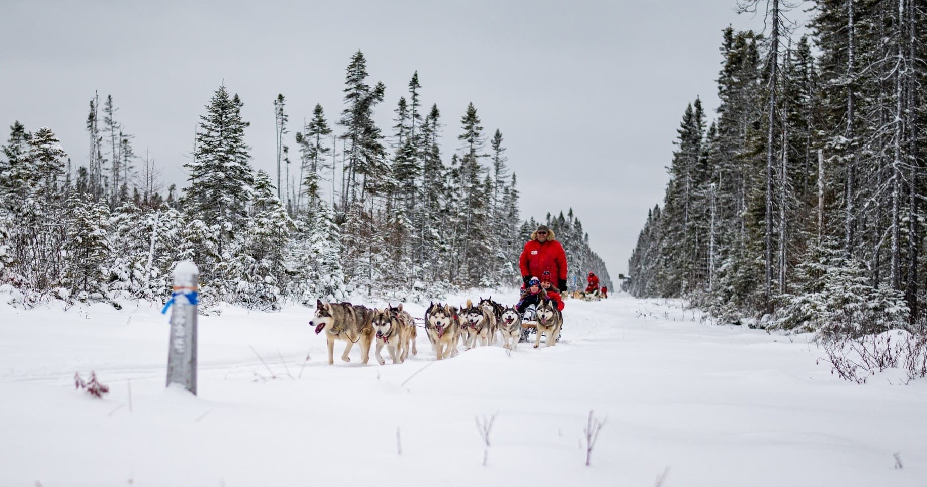 Dog Sledding Adventure with Chalets Villégiature & Pourvoirie Daaquam