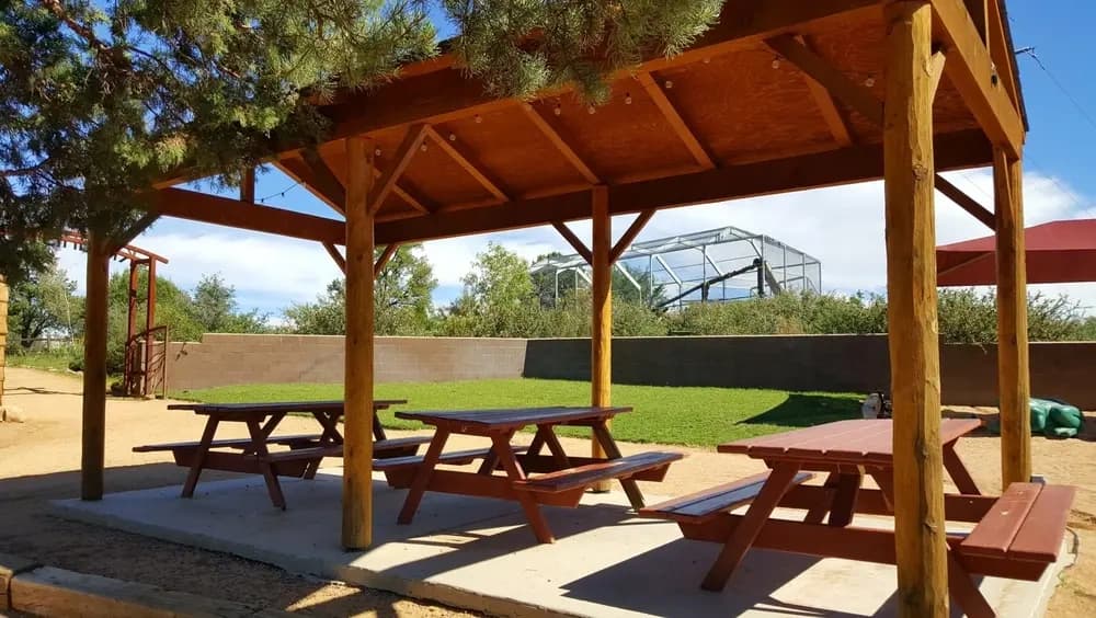 Birthday Parties at Kiwanis Ramada — Heritage Park Zoo, Prescott