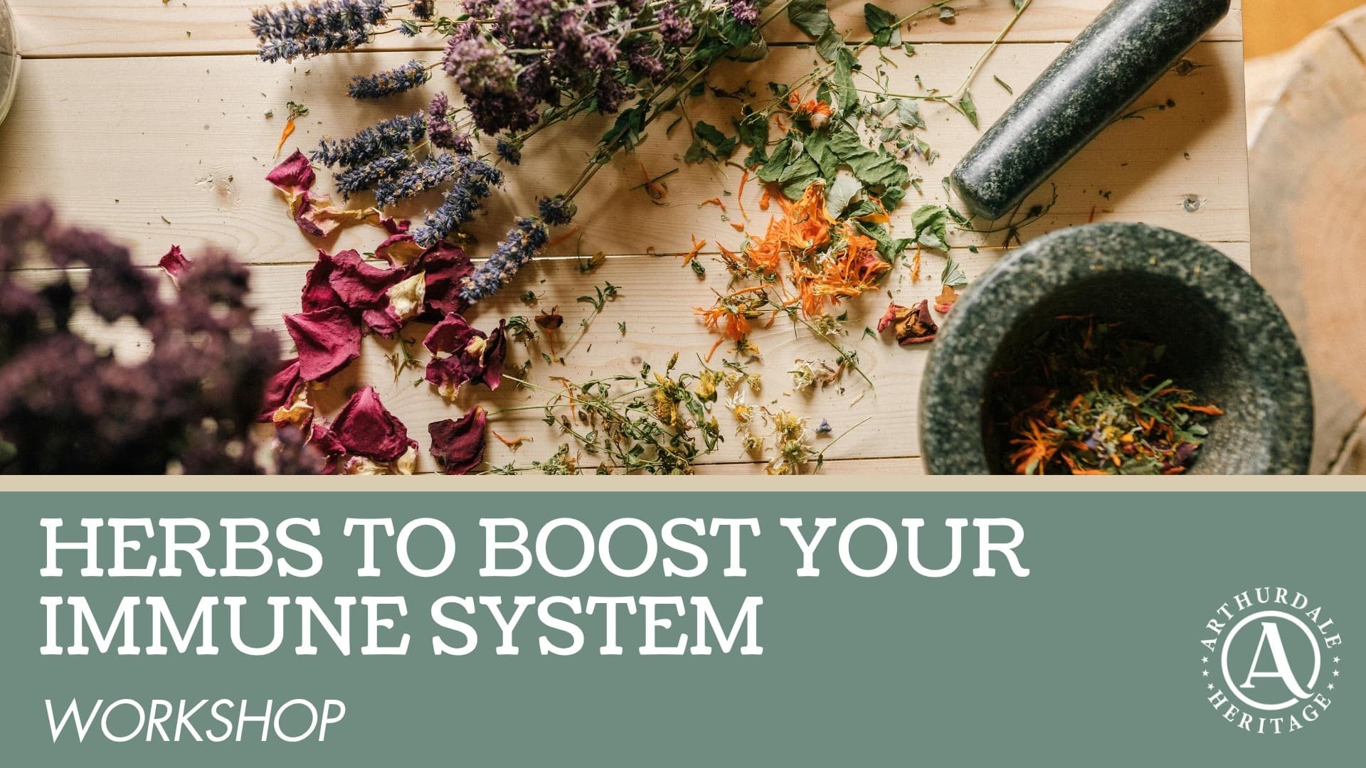 Handmade Elderberry Elixir in Arthurdale: Immune-Boosting Herbal Workshop with Melita Mollohan