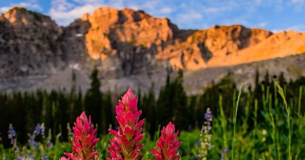Hike + Mindfulness with Hole Hiking Experience in Jackson