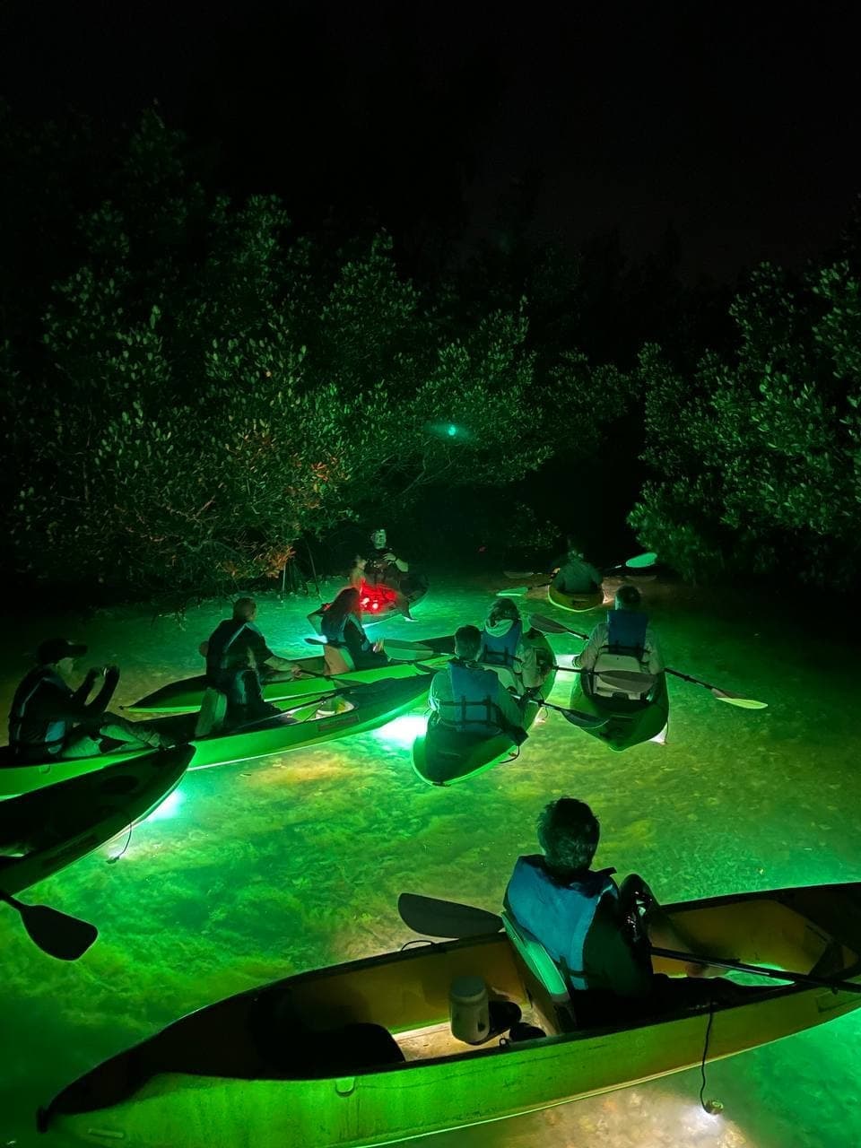Glass Bottom Kayak Adventures with Sharkey's in Key West