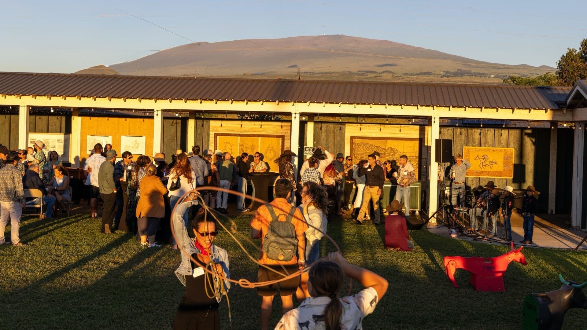 Community outdoor festival with crowds and lawn performances