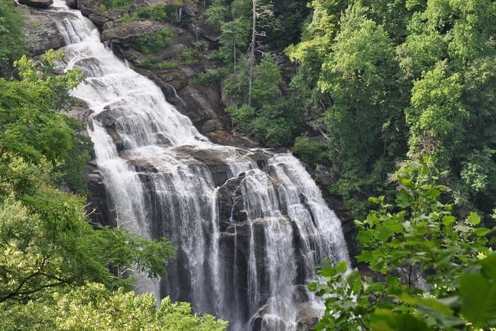 Multi-tiered forest waterfall cascading through lush greenery
