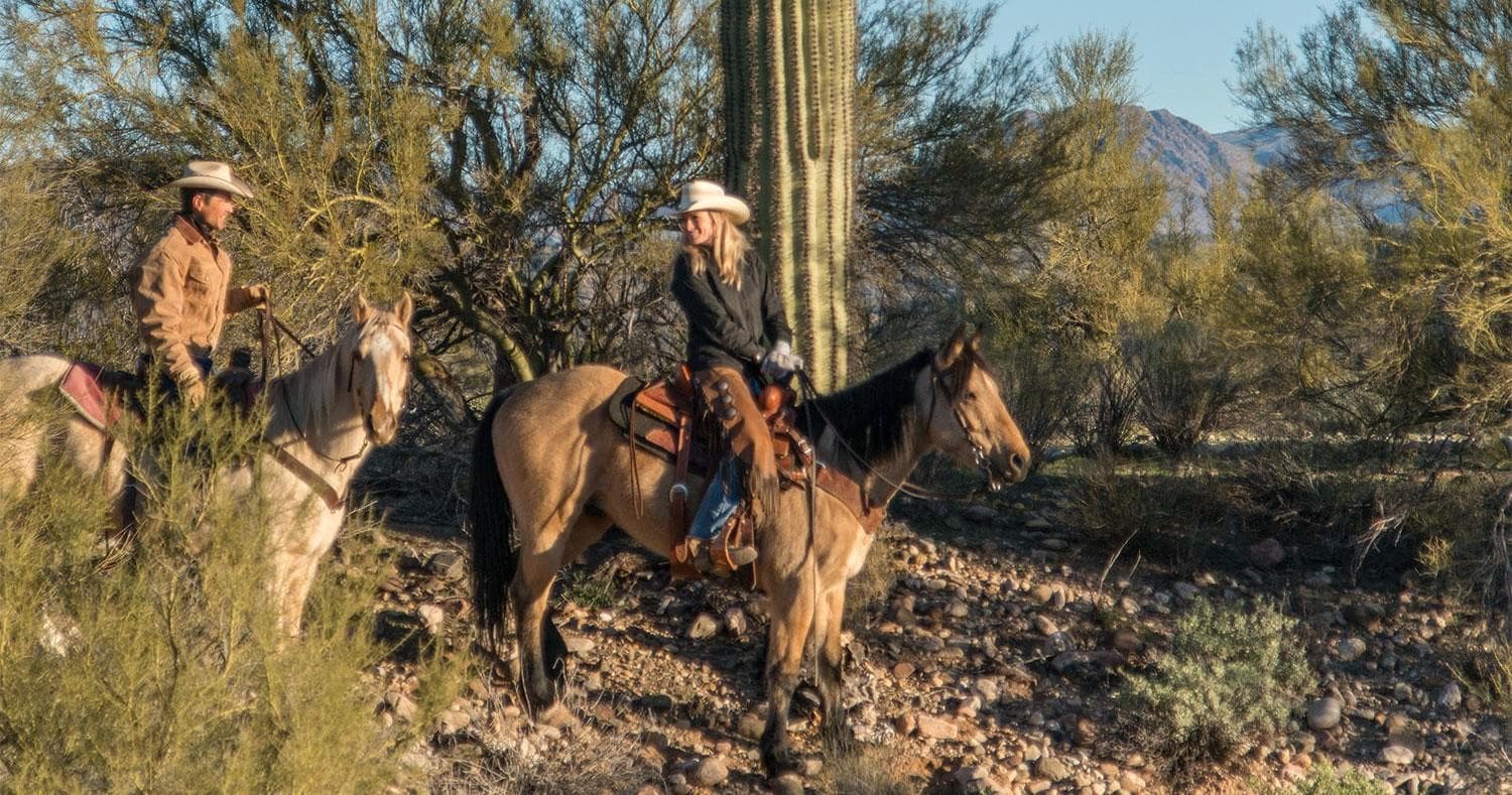 Arizona Horse Company team