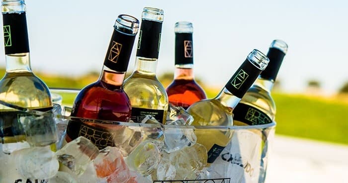 Chilled wine bottles in ice bucket on sunny vineyard terrace