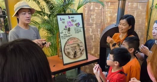 Discover the Secret Lives of Bees, Ants, and Worms on a Rooftop Farm in Singapore
