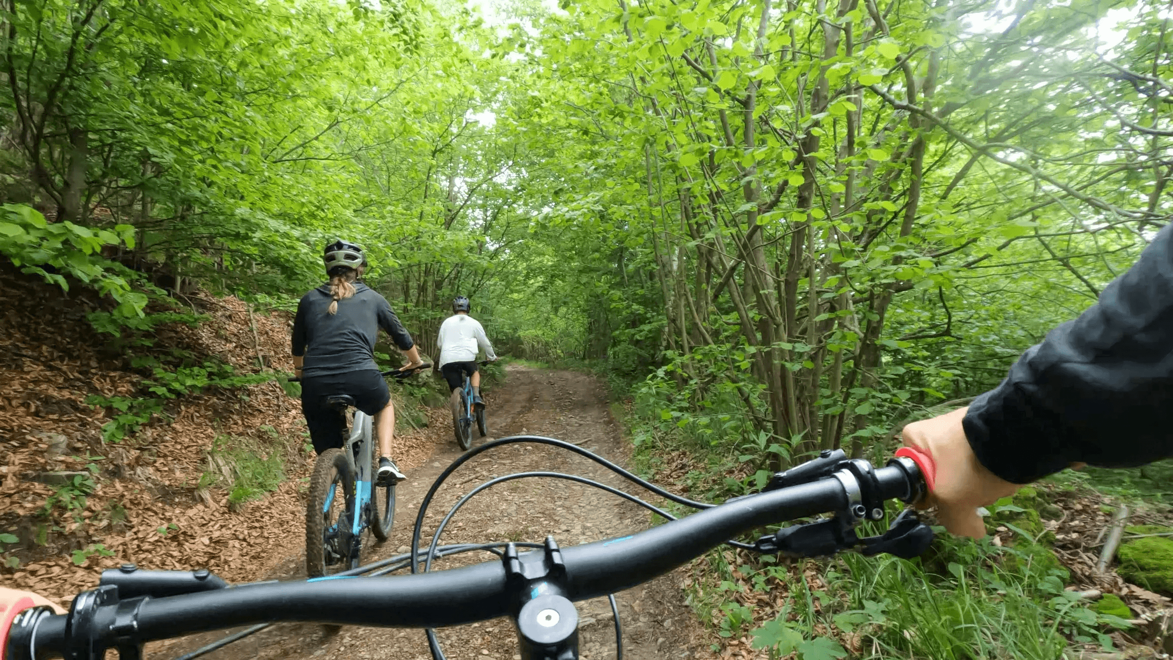 Explore Island Park with Full Day E-Bike Rental