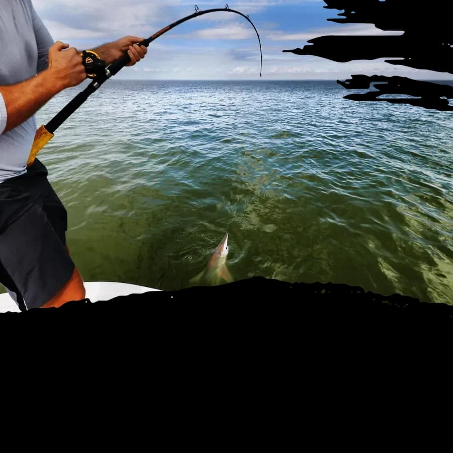 Inshore Fishing Experience with Water Walker Fishing in Pensacola