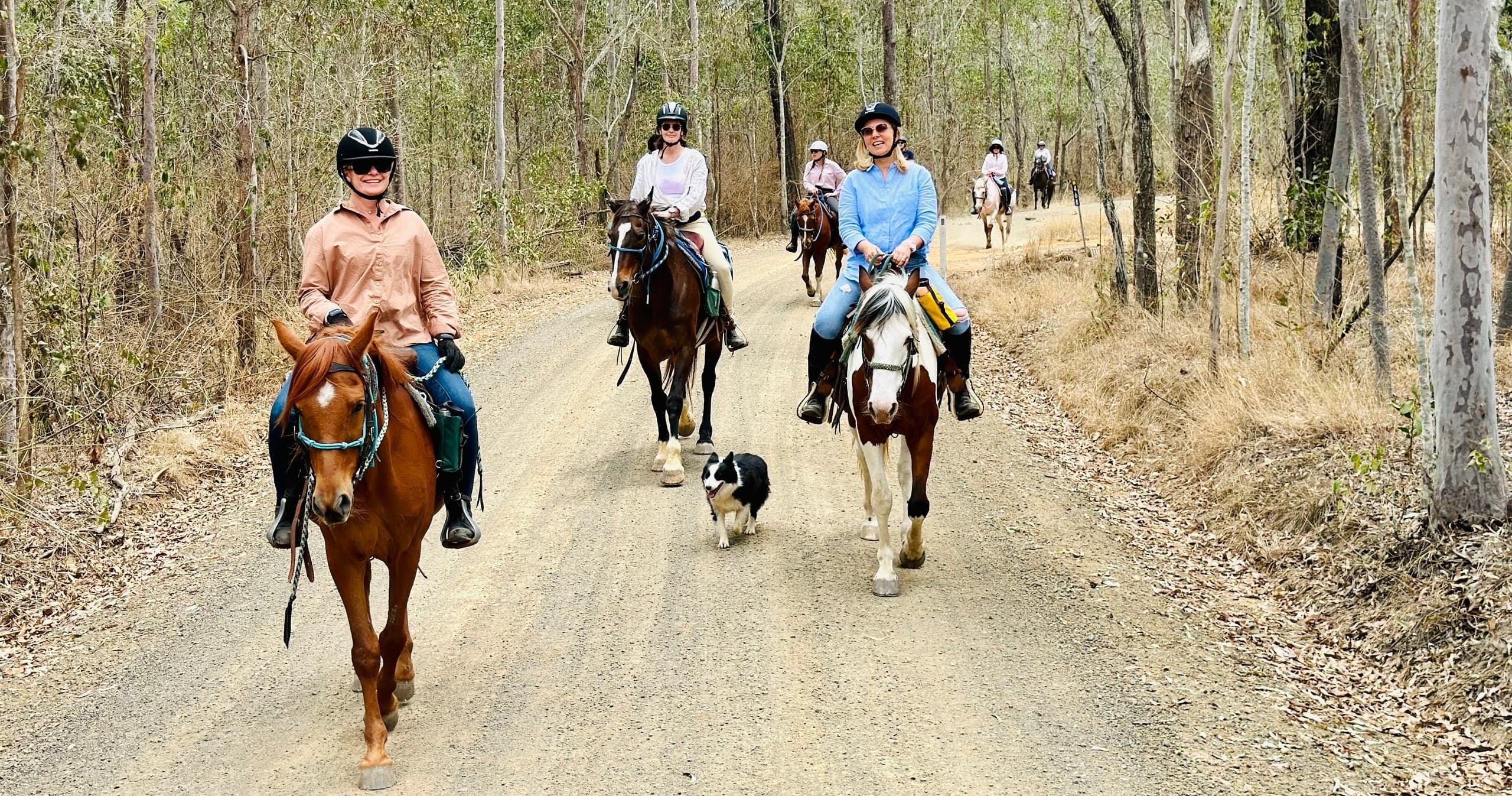 Two Hour Trail Ride through Brisbane Valley Rail Trail: A Beginner-Friendly Bush Trek in Coominya