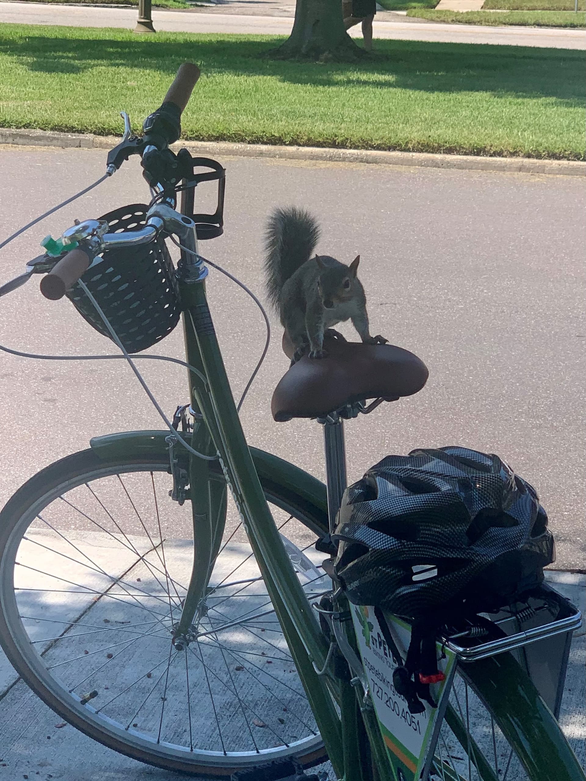 Cycling Adventures at St Pete Biking Tours in Pinellas Trail