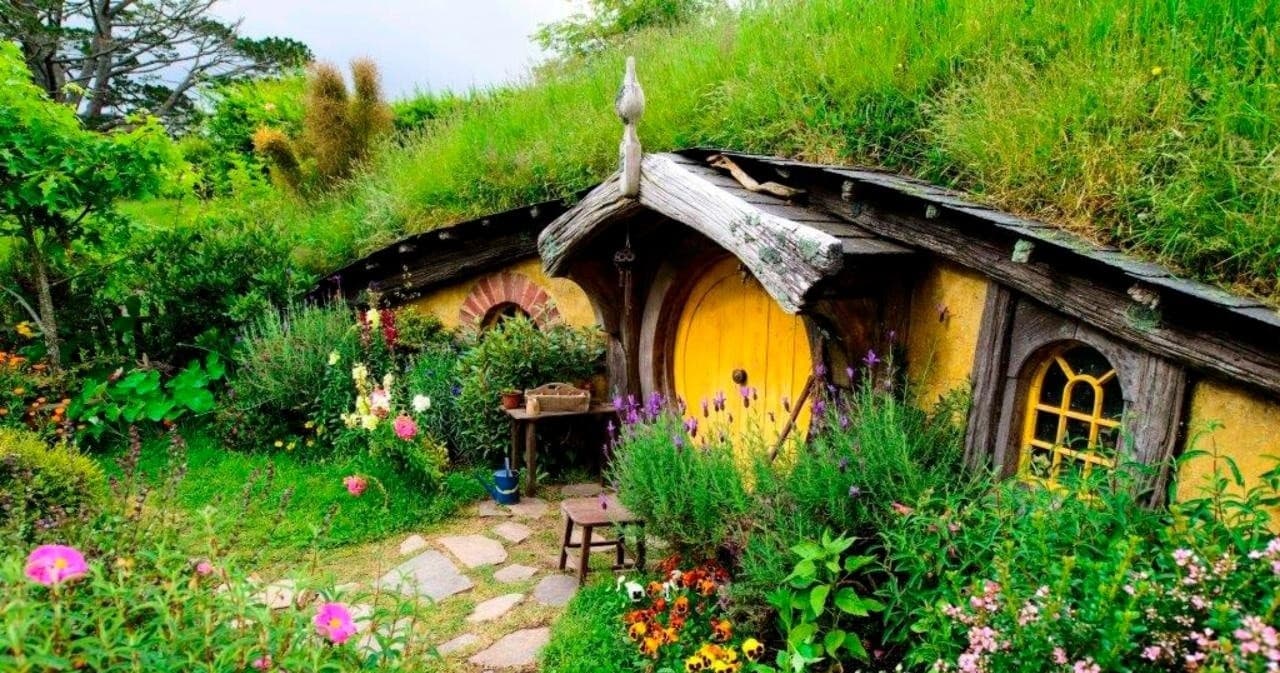 Private Auckland to Waitomo & Hobbiton Tour by TIME Unlimited
