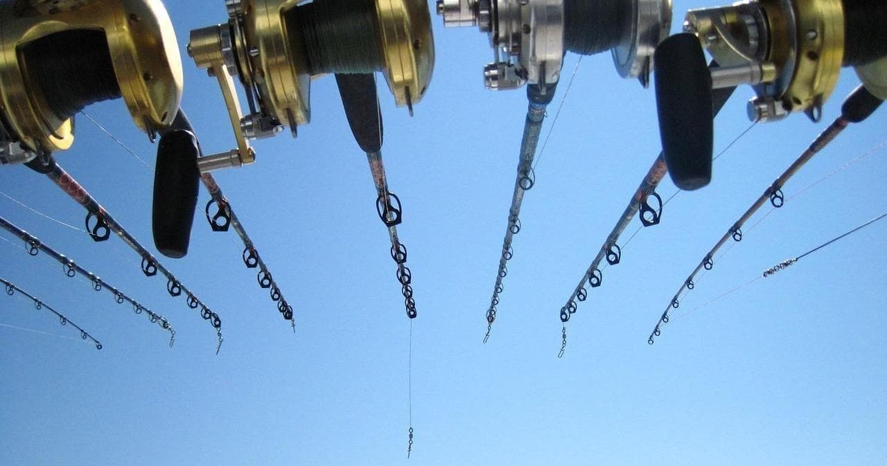 Bay Fishing Adventure in South Padre Island, Texas
