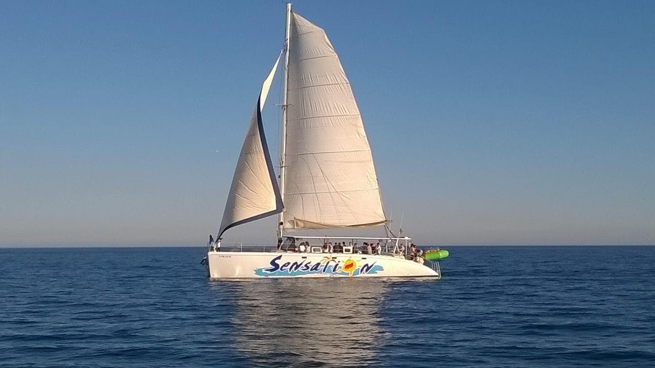 Sailing catamaran under full sails on calm open sea at sunset
