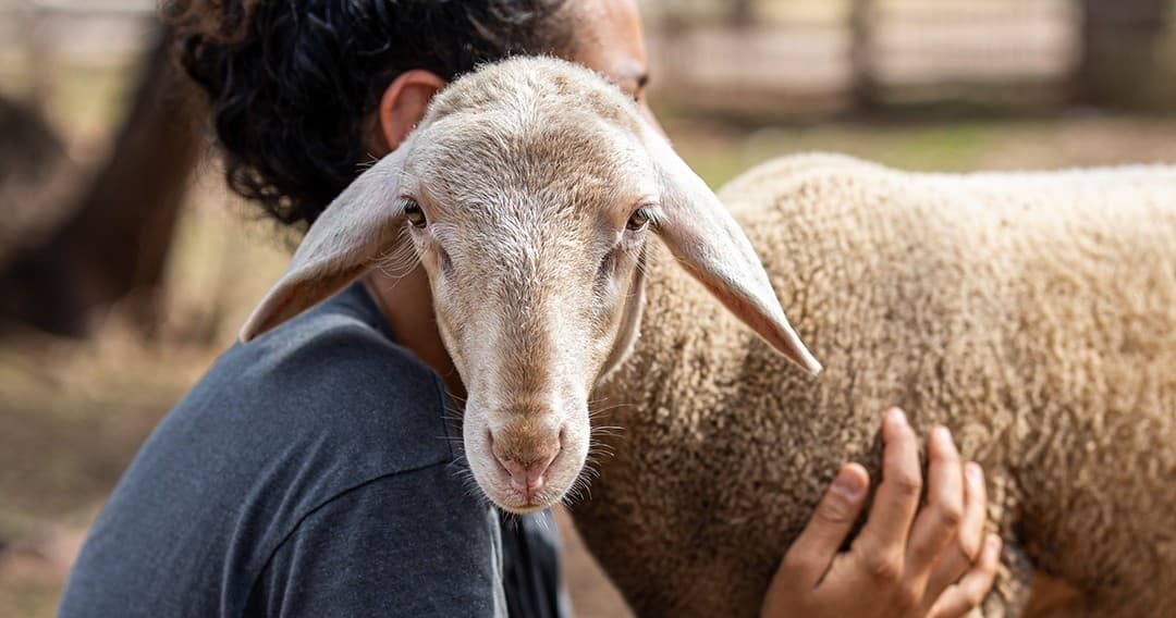 Provence Animal Farm Experience by Farm Experiences & Tours