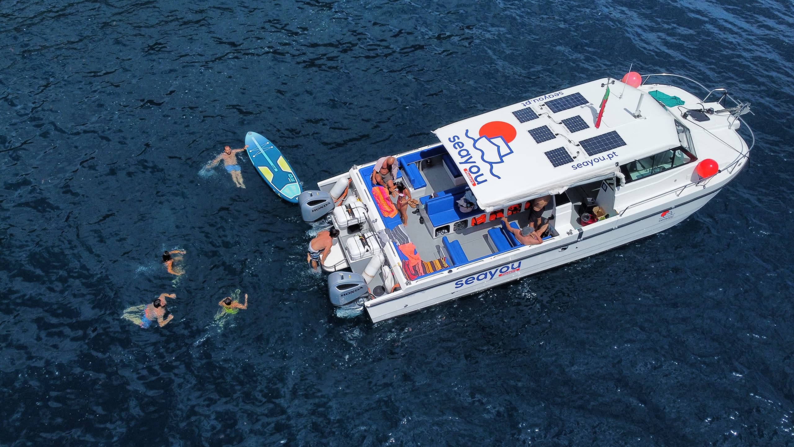 Private Morning Cruise: Madeira Dolphin & Snorkel Charter from Funchal and Calheta photo 3