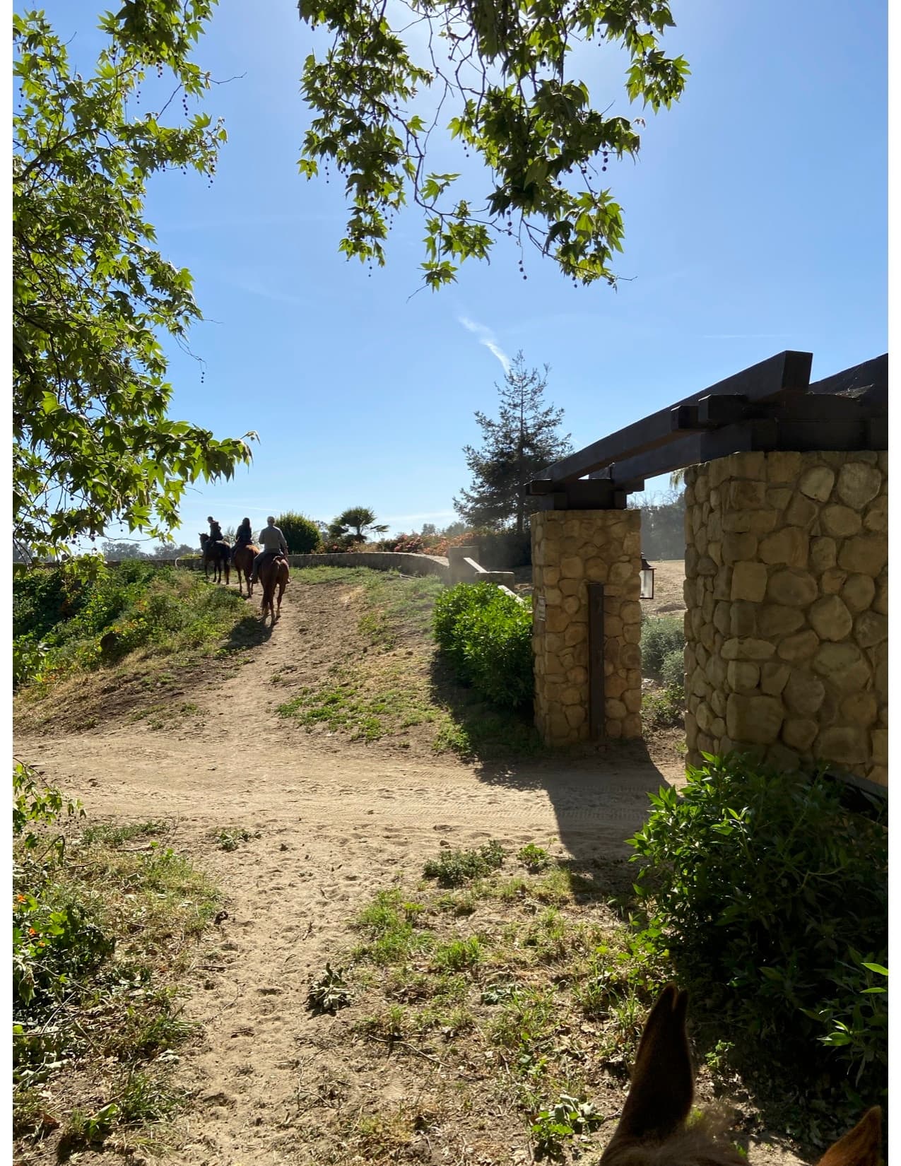 Land Adventures with Los Padres Outfitters in California