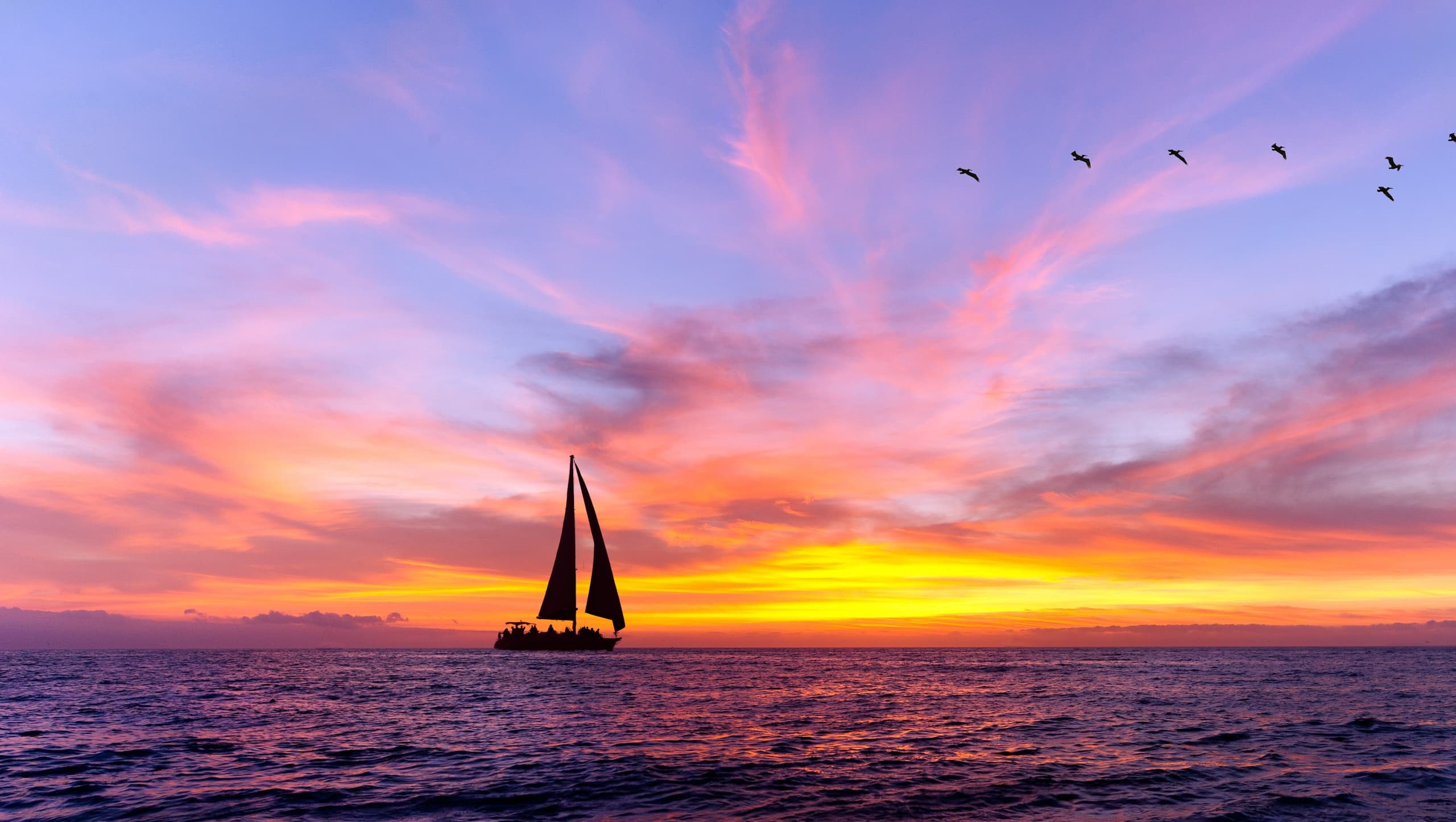 Private Yacht Sunset Cruise with Dolphin & Turtle Viewing