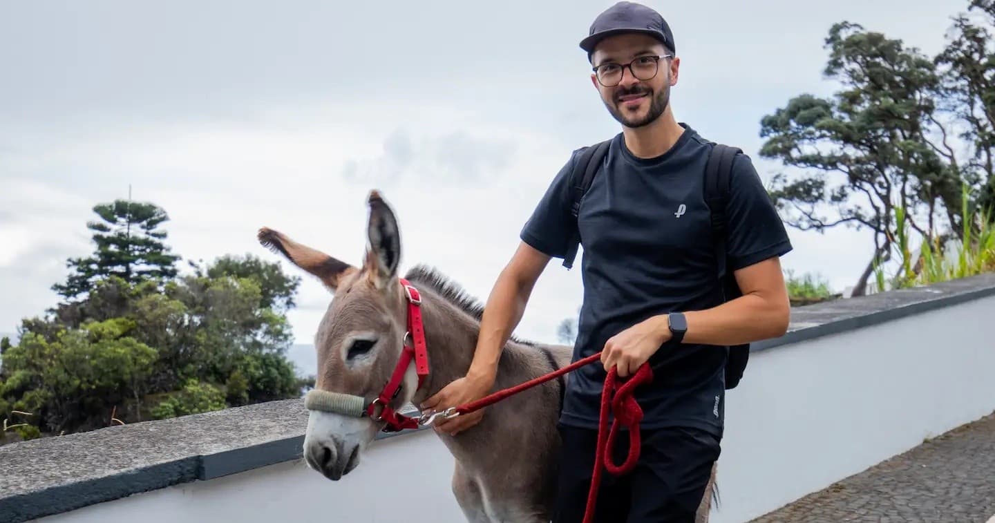 Wildlife & Land Adventures: Happy Rescued Donkeys in Azores