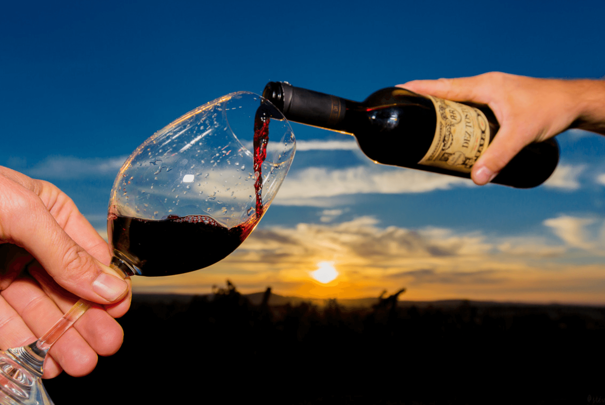 Wine Tasting at Corktrekking in Alentejo