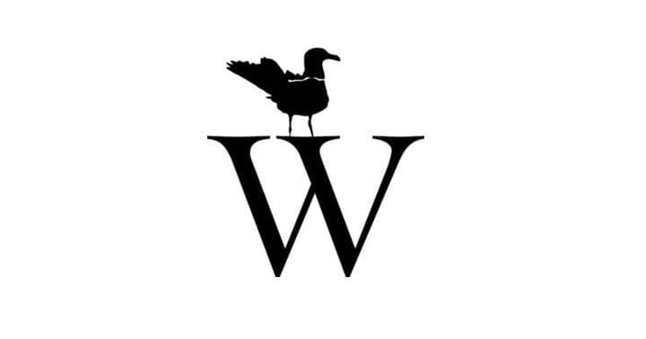 Bird of Prey Adventure at Wequassett Resort