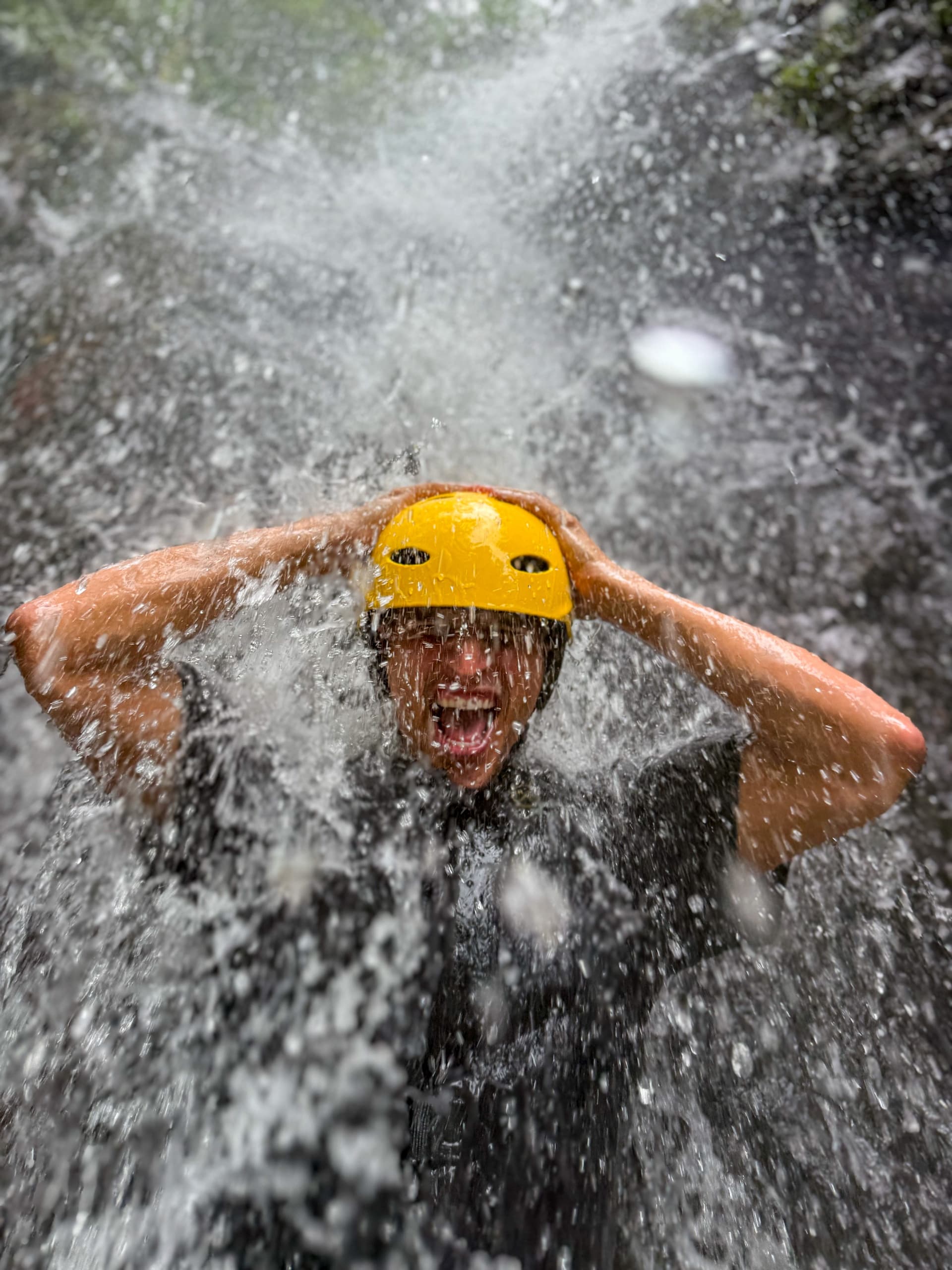 (Small Group) El Yunque Half Day Tour in Corozal, PR