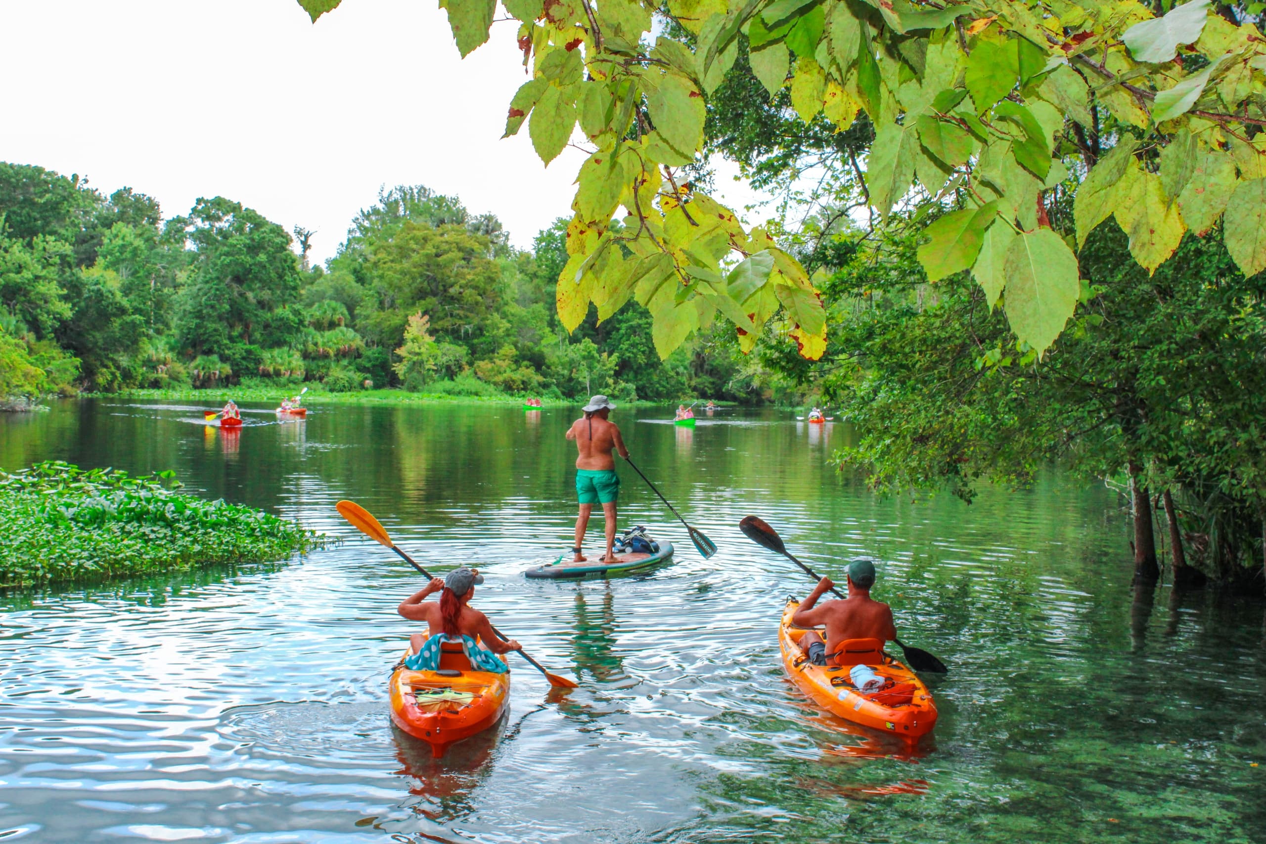 Group kayakers and paddleboarder on crystal-clear spring river