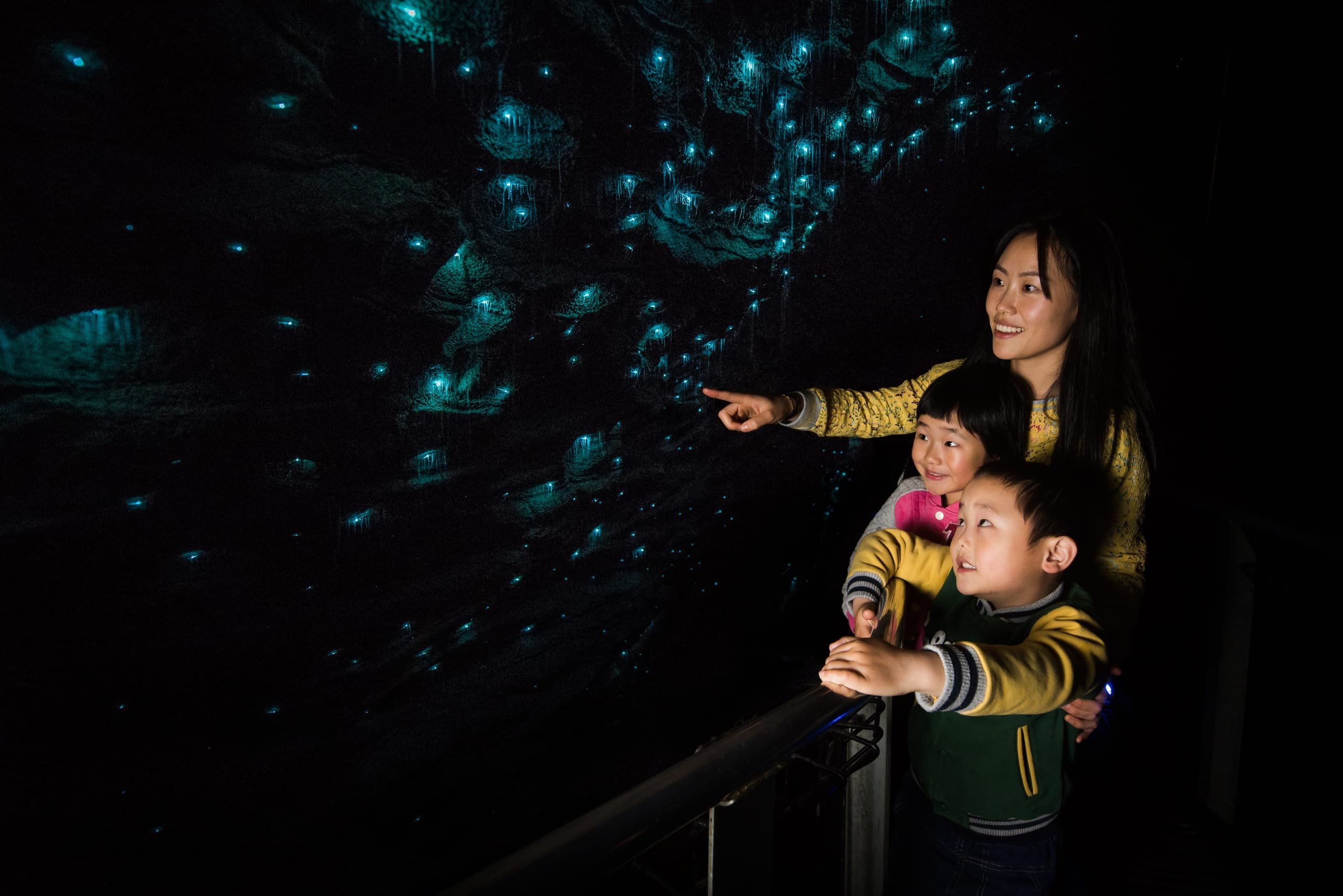Waitomo Caves & Rotorua Tour by ExperienceKart Limited