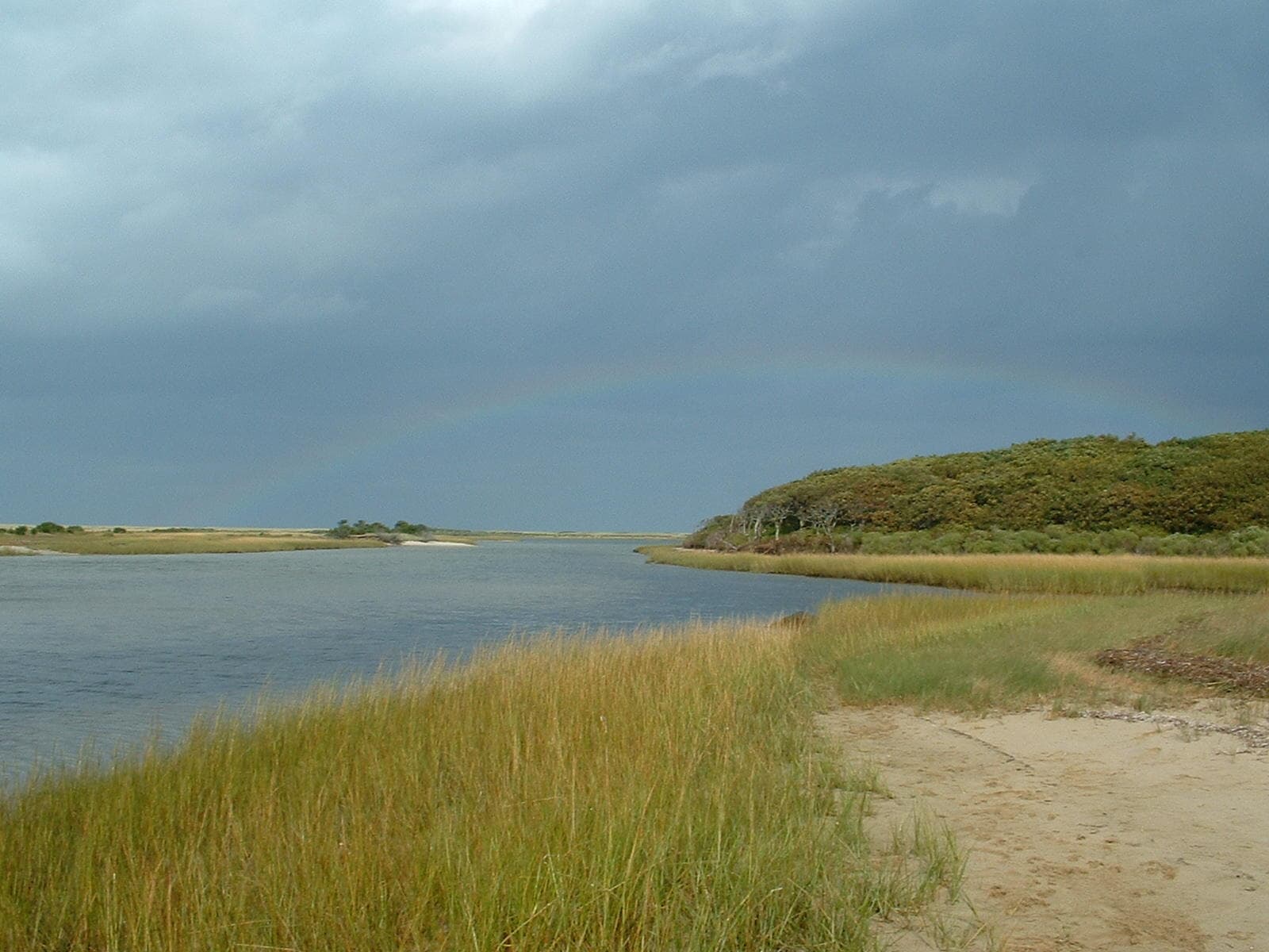 Coskata Pond & Woods Hike with Nantucket Walkabout