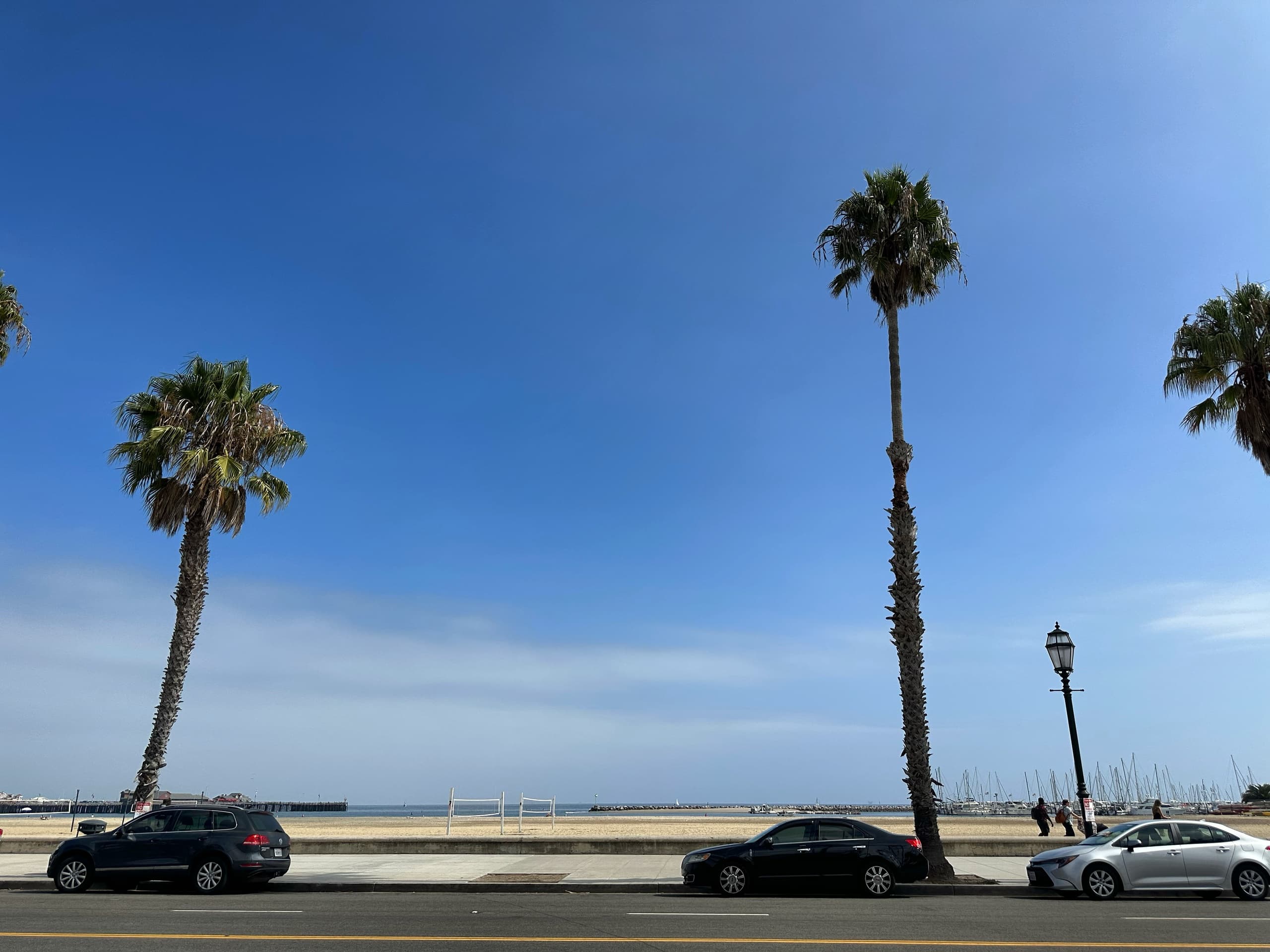 Palm-lined Santa Barbara beachfront with coastal road view