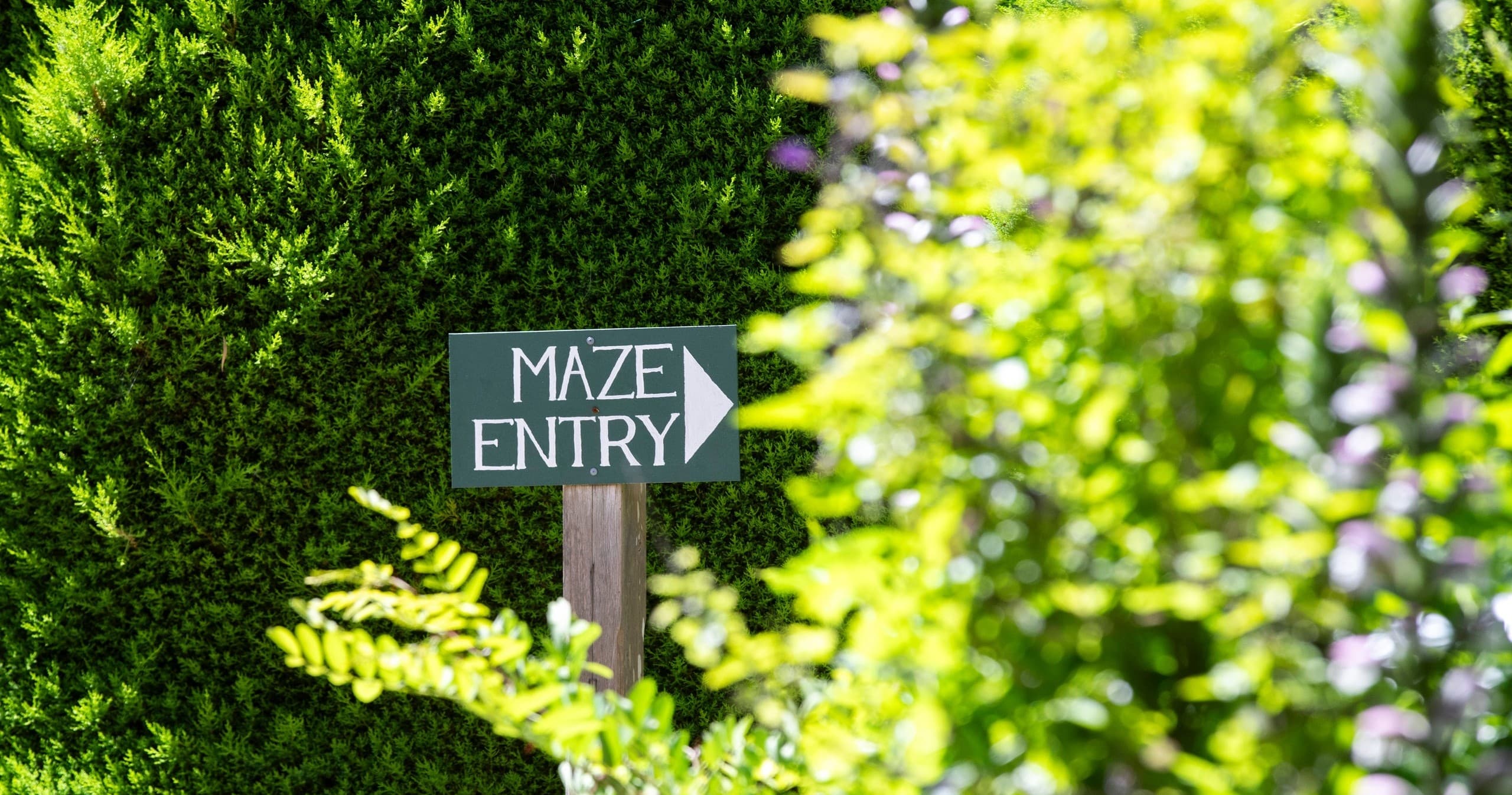 Maze entry sign surrounded by clipped hedges at garden maze